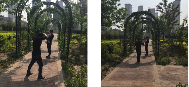 QQ截圖20160504110306.jpg